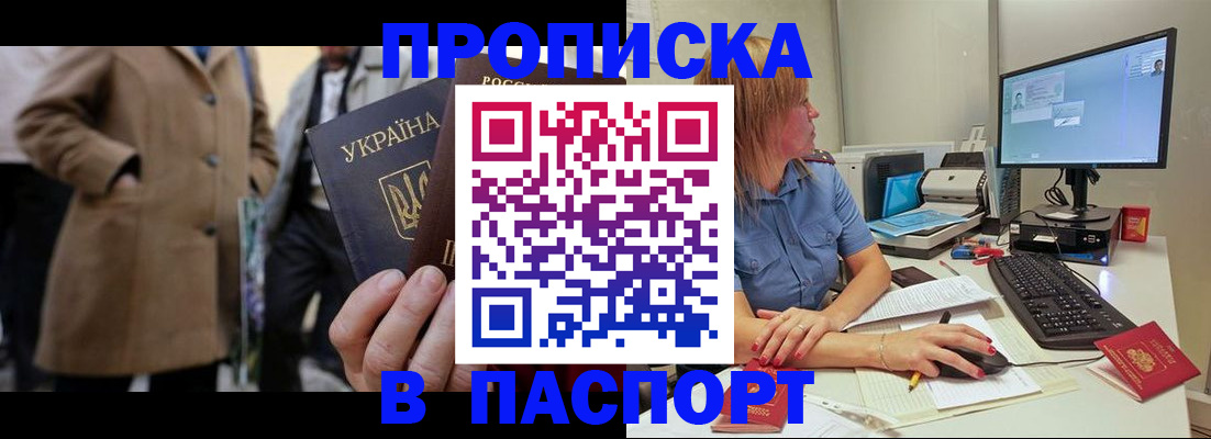 прописка штамп в Коле